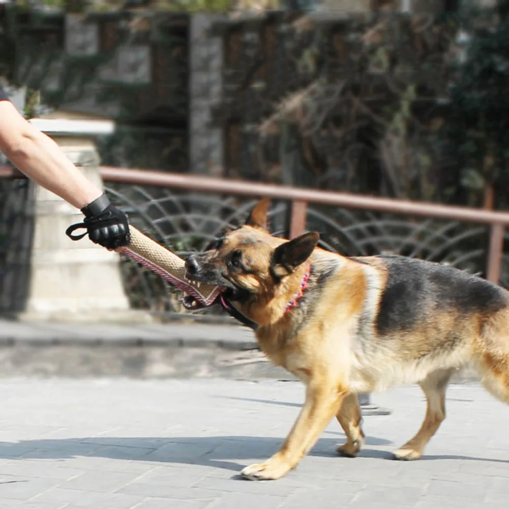 Hemp Dog Tug Toy – Tear-Resistant Chew & Training Toy