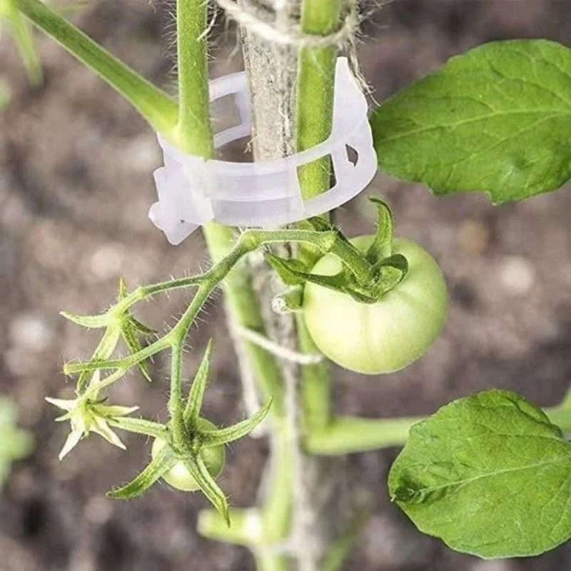 Reusable Plant Support Clips for Tomato & Climbing Vines