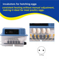Automatic 12-Egg Incubator with Turner, Candler & Temp Control