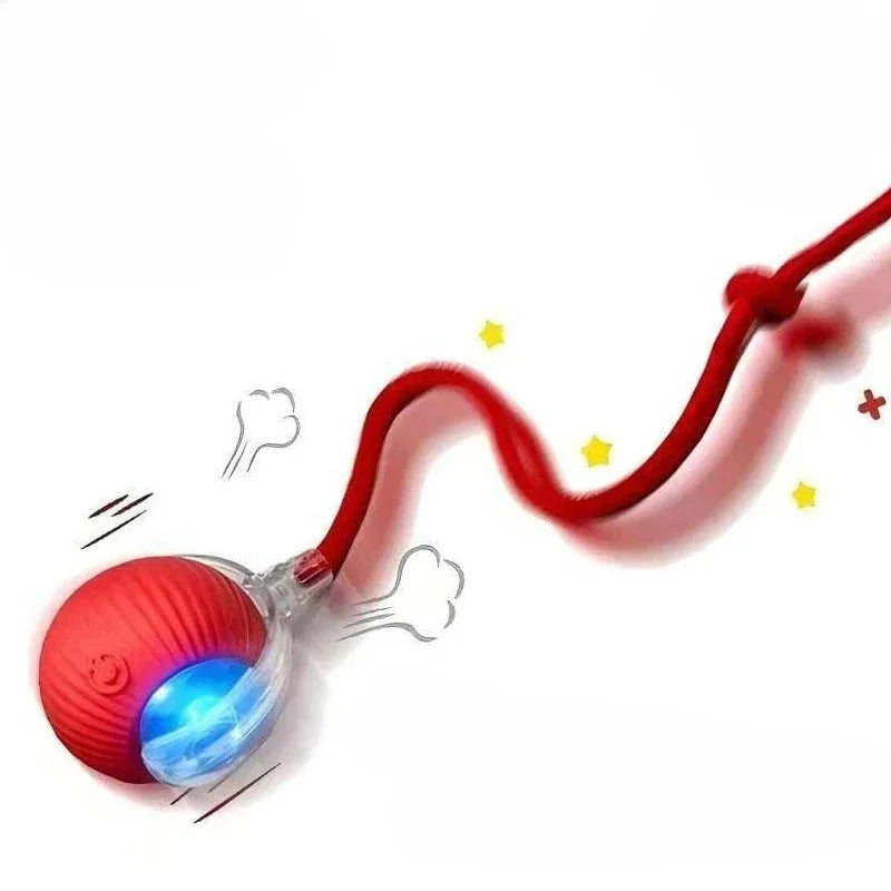 Automatic Rolling Ball Cat Toy – Rechargeable Interactive Pet Toy
