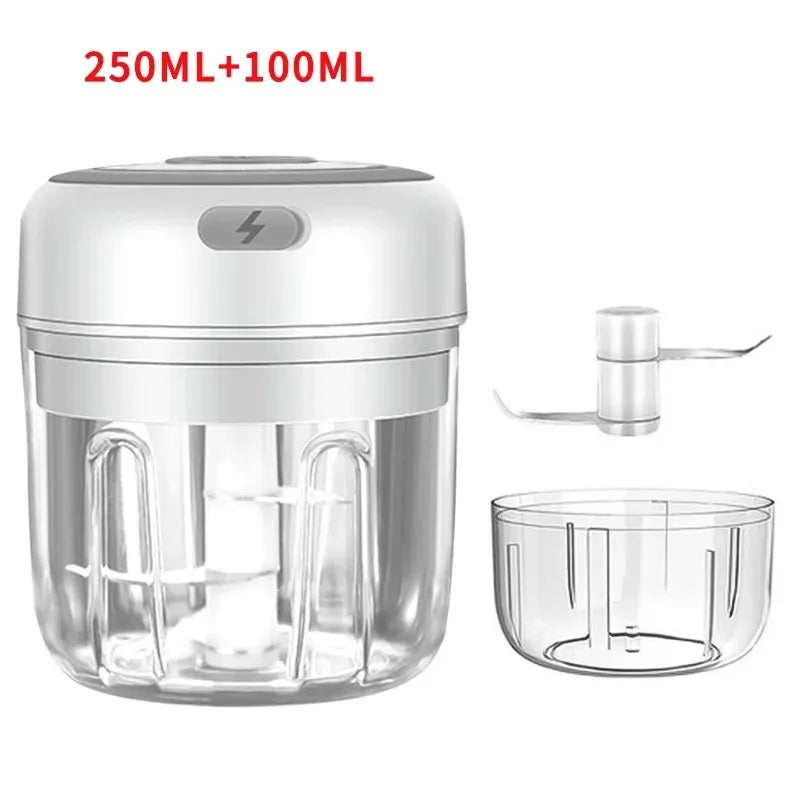 Electric Garlic Chopper 250ML Stainless Steel Mini Food Chopper