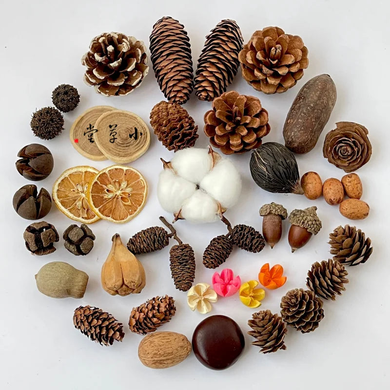 Dried Flowers, Fruits & Pine Cones DIY Natural Décor Kit