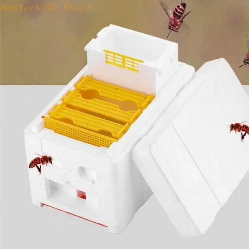 Foam & Plastic Queen Bee Mating Box – Beekeeping Tool