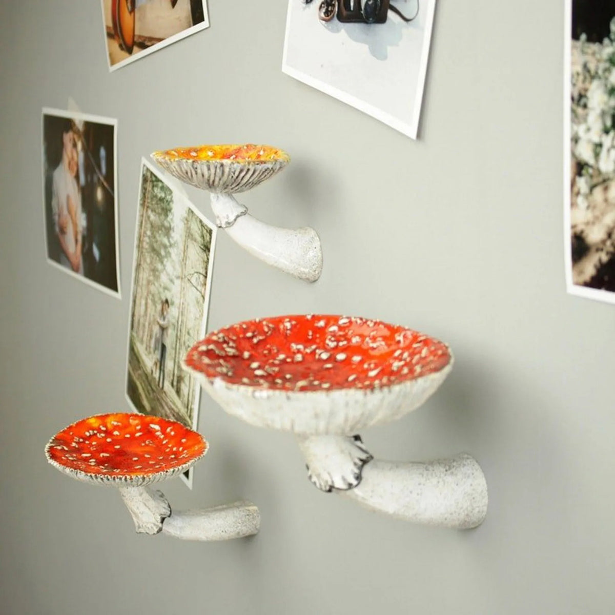 Resin Mushroom Floating Wall Shelf – Creative Home Decor