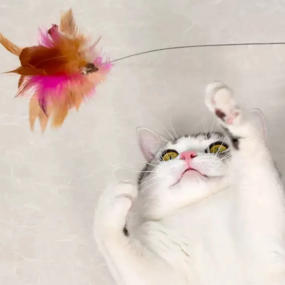 Adjustable Cat Feather Collar Wand Toy with Bell | Interactive