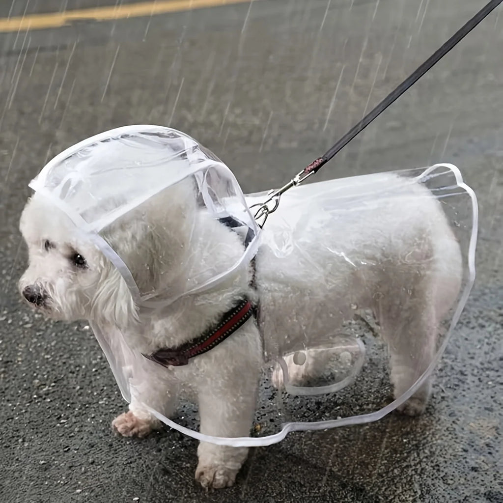 Transparent Button-Up Dog Raincoat for Small Breeds