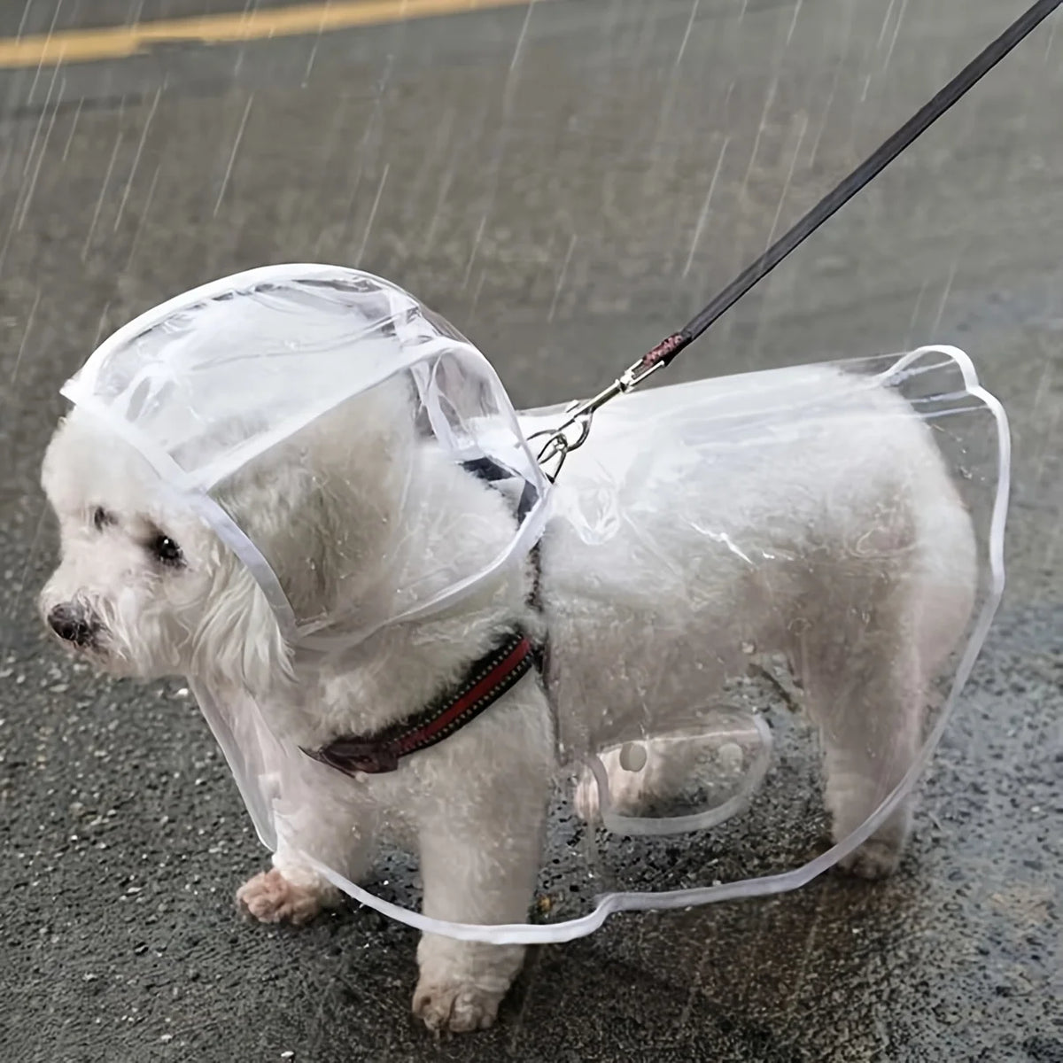 Transparent Button-Up Dog Raincoat for Small Breeds