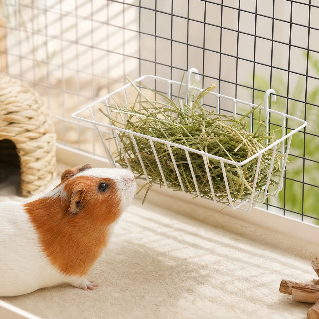 Rabbit Hay Feeder Rack – Hanging Grass Basket for Small Pets