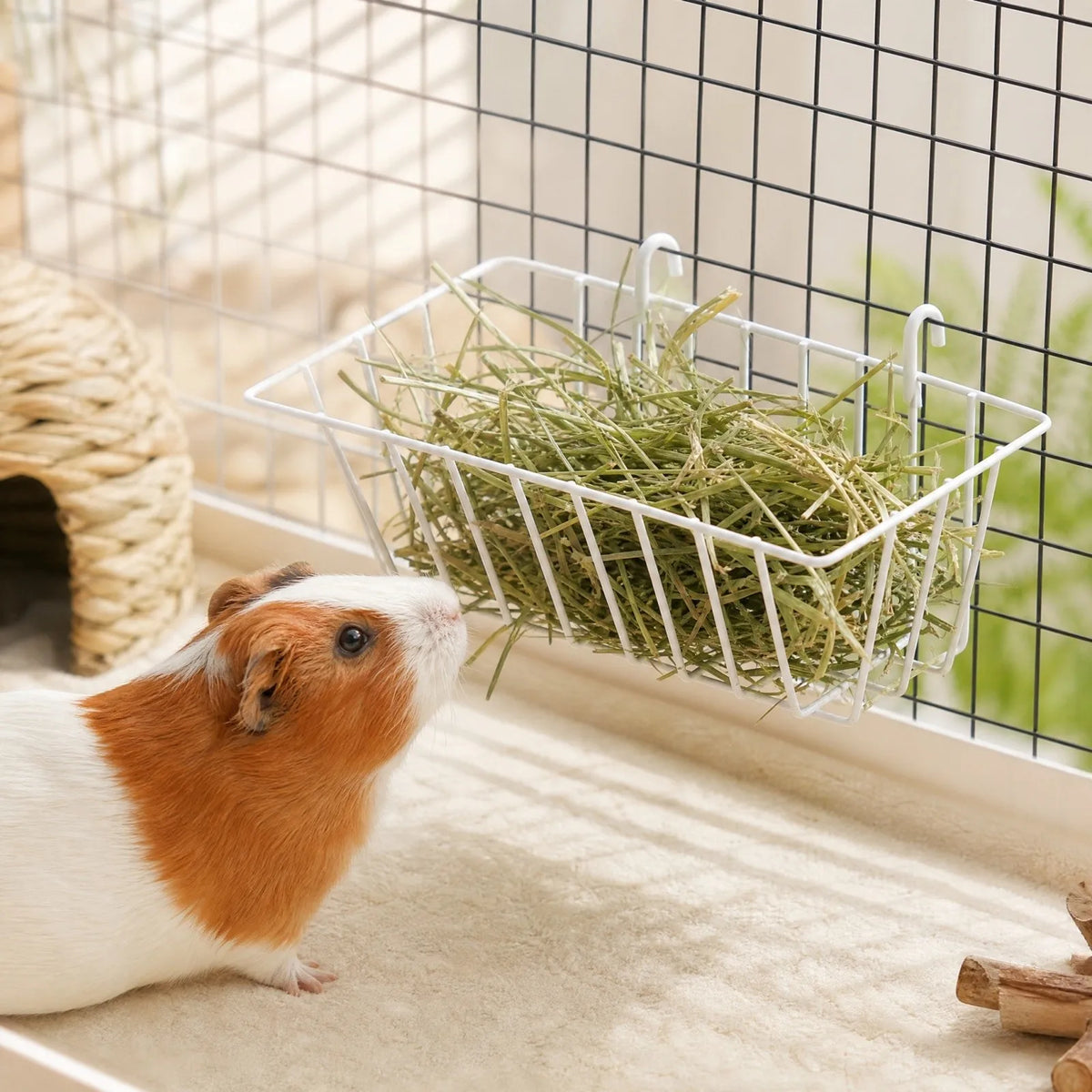 Rabbit Hay Feeder Rack – Hanging Grass Basket for Small Pets