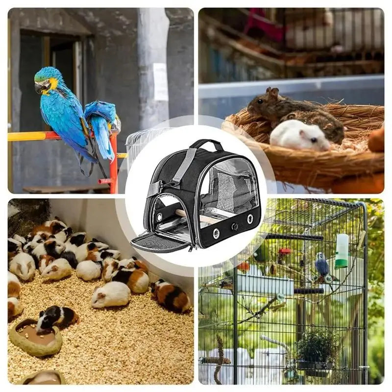 Portable Bird Carrier Backpack Travel Cage for Parrots & Small Birds