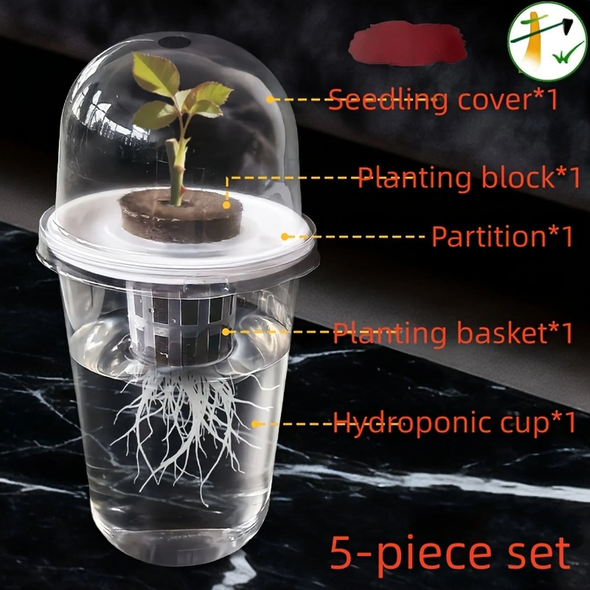 Clear Hydroponic Seed Germination Cup – Transparent Starter Pot