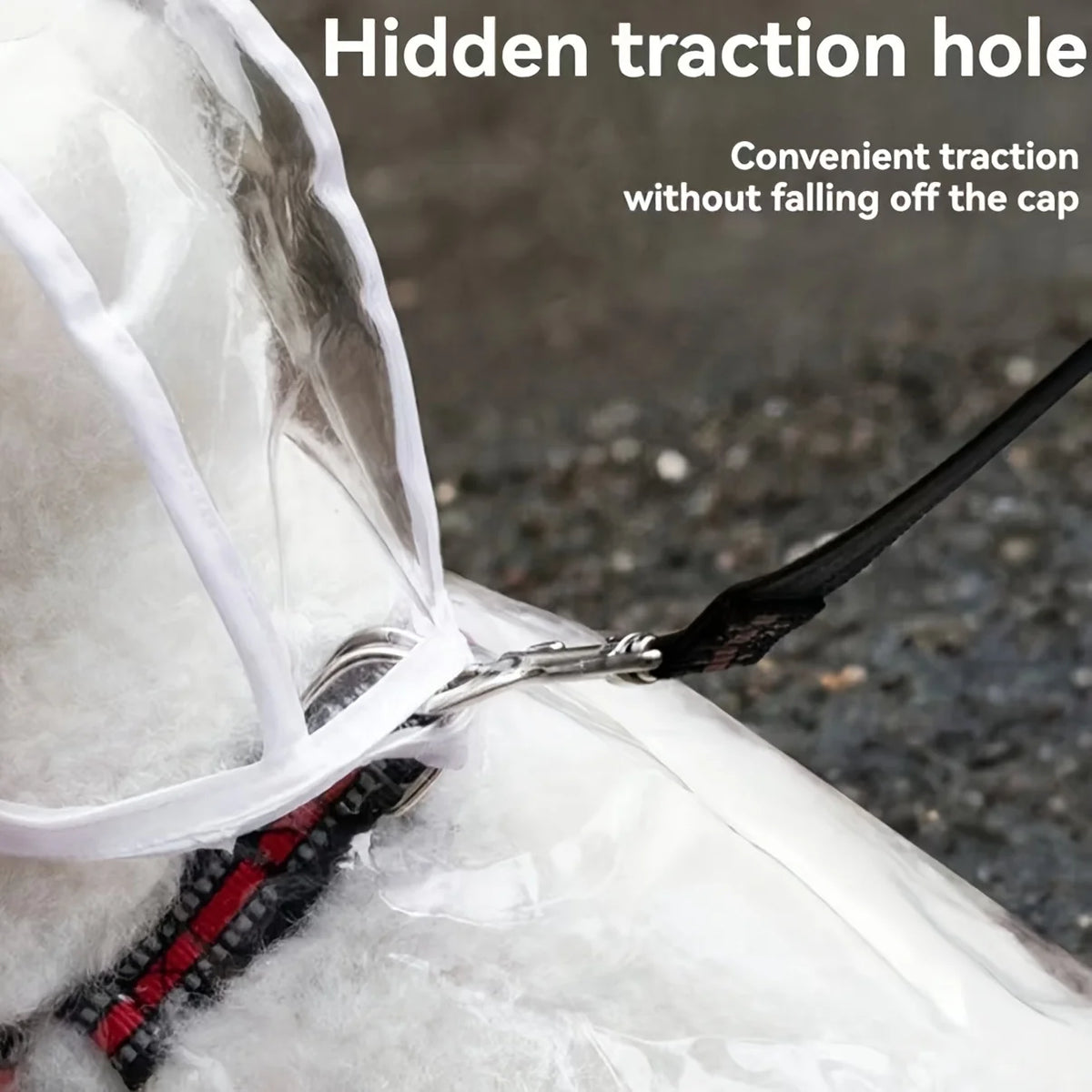 Transparent Button-Up Dog Raincoat for Small Breeds