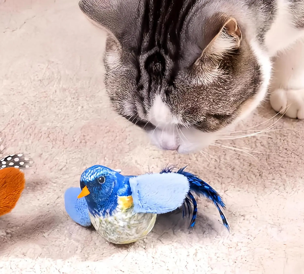 VIBE Cat Bird Toy with Sound – Indoor Cat Enrichment Toy