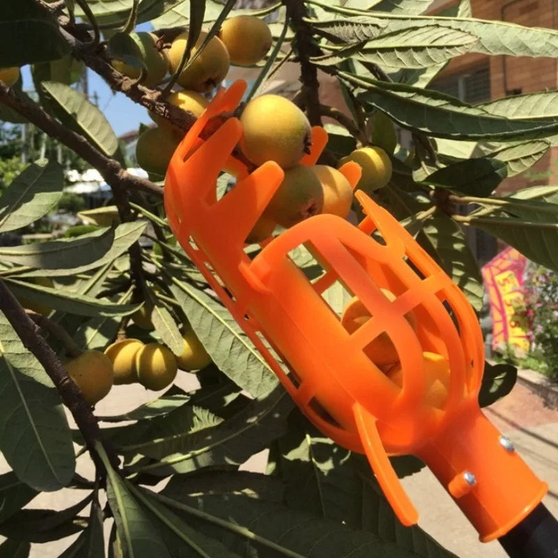 Fruit Picker Tool – High Branch Harvest Device for Garden