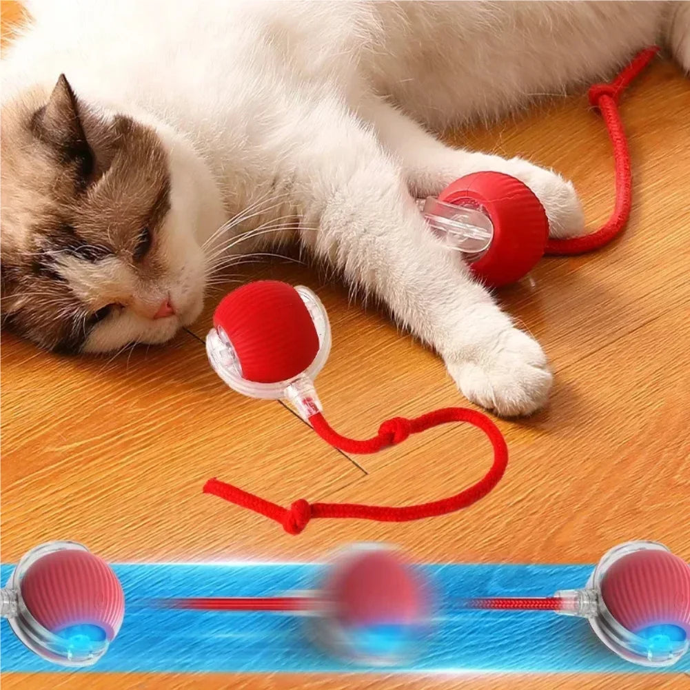 Automatic Rolling Ball Cat Toy – Rechargeable Interactive Pet Toy