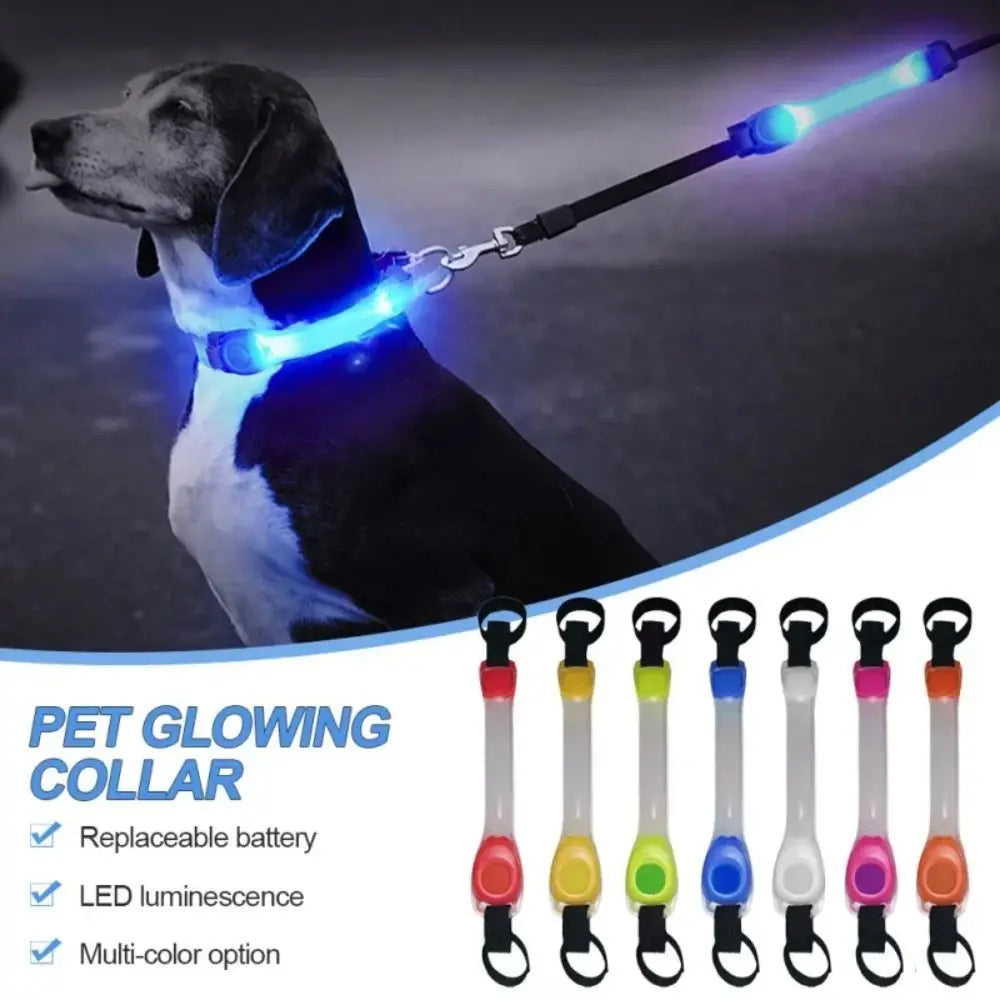 Waterproof LED Flashing Dog Collar – Night Safety Glow Light