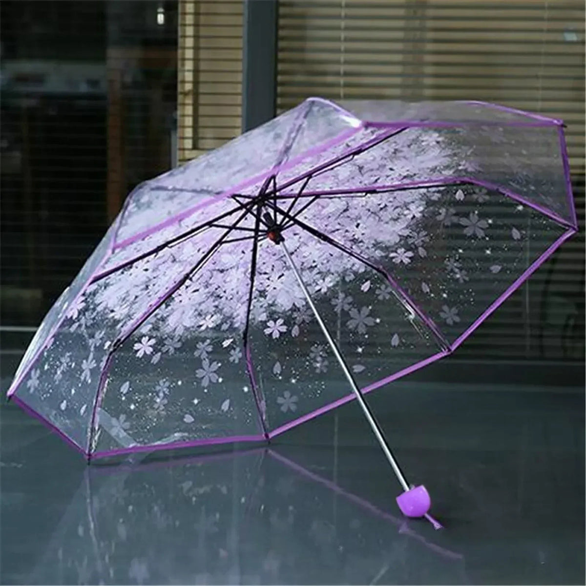Transparent Cherry Blossom Folding Umbrella – UV & Rain