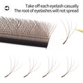 XIUSUZAKI Brown 4D W-Shape Premade Fan Eyelash Extensions