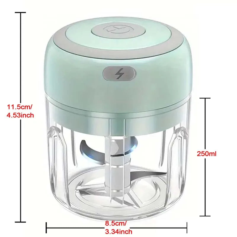 Electric Garlic Chopper 250ML Stainless Steel Mini Food Chopper