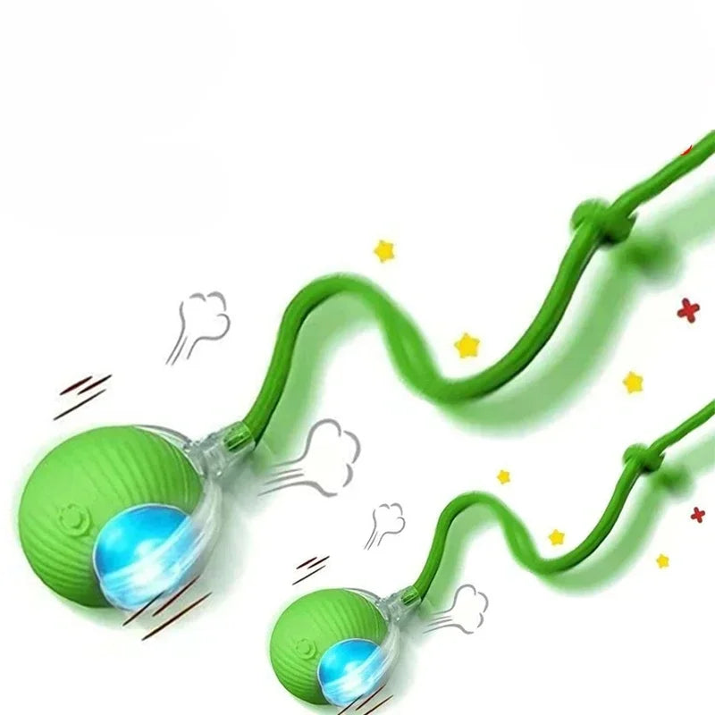 Automatic Rolling Ball Cat Toy – Rechargeable Interactive Pet Toy