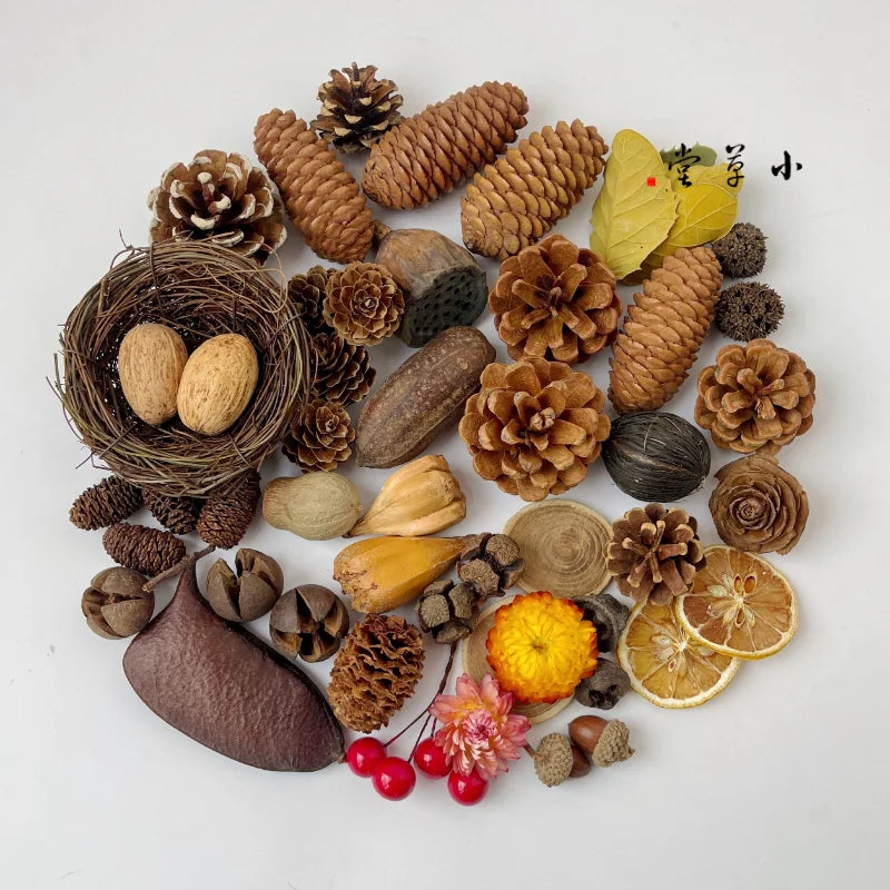 Dried Flowers, Fruits & Pine Cones DIY Natural Décor Kit