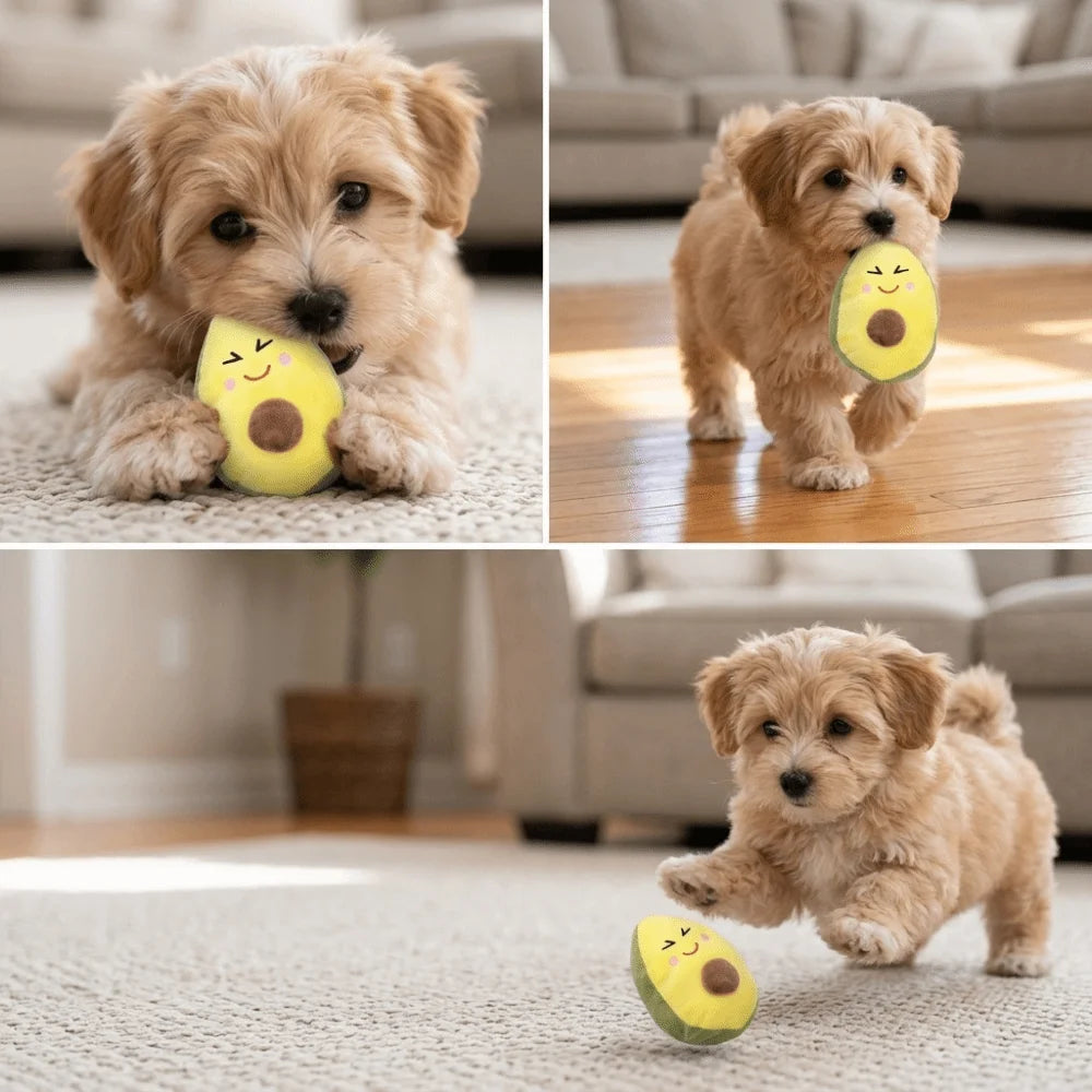 Avocado Plush Squeaky Dog Toy for Puppies & Small Dogs