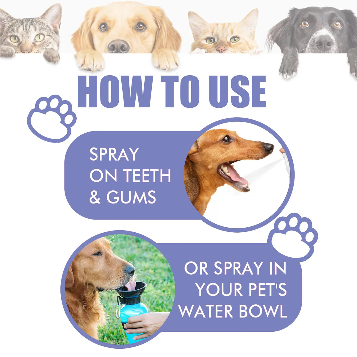 Pet Teeth Cleaning Spray – Fresh Breath & Plaque Remover 30ml
