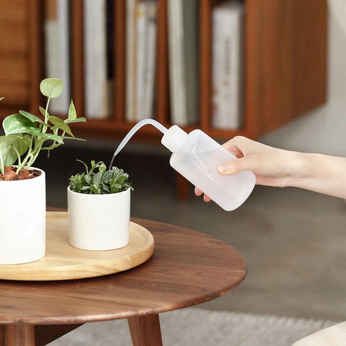 500ml Curved Spout Watering Can – Precision Succulent Bottle