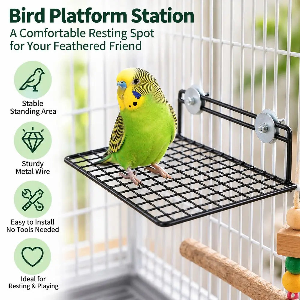 Metal Wire Bird Cage Platform Perch & Ladder – Black/White