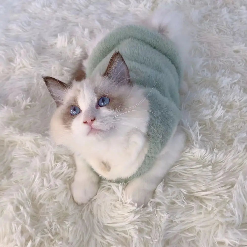 Knit Cat Sweater Vest – Soft Pullover Kitten Clothes S–XL