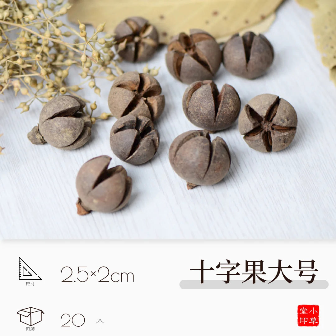 Dried Flowers, Fruits & Pine Cones DIY Natural Décor Kit