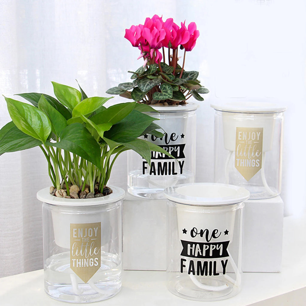 Mini Spherical Transparent Self-Watering Succulent Planter