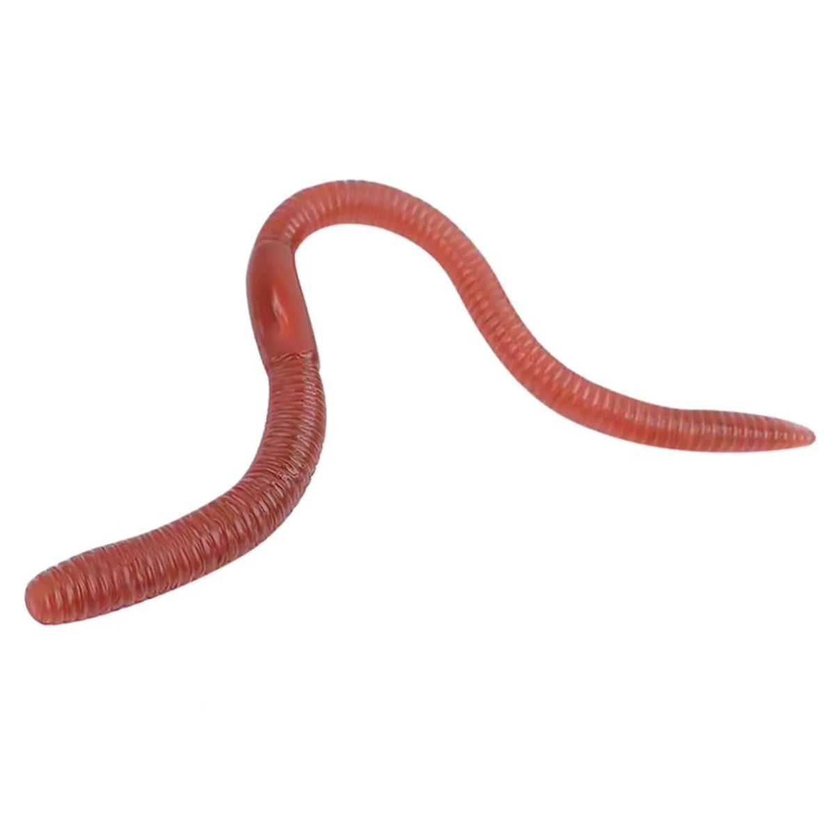 10-Pack Realistic Fake Earthworms – Stretchy Rubber Prank Props