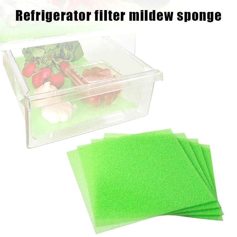 10PCS Fridge Sponge Mats – Vegetable Fresh Keeping Drawer Liner