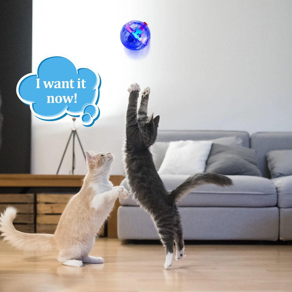 3-Pack LED Motion Activated Light Up Cat Balls | Interactive Pet Toy