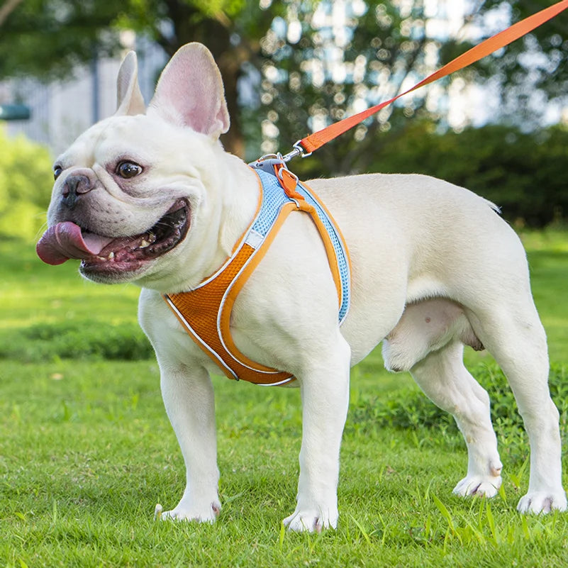 Adjustable Soft Mesh Dog Harness Vest – Small & Medium Pets