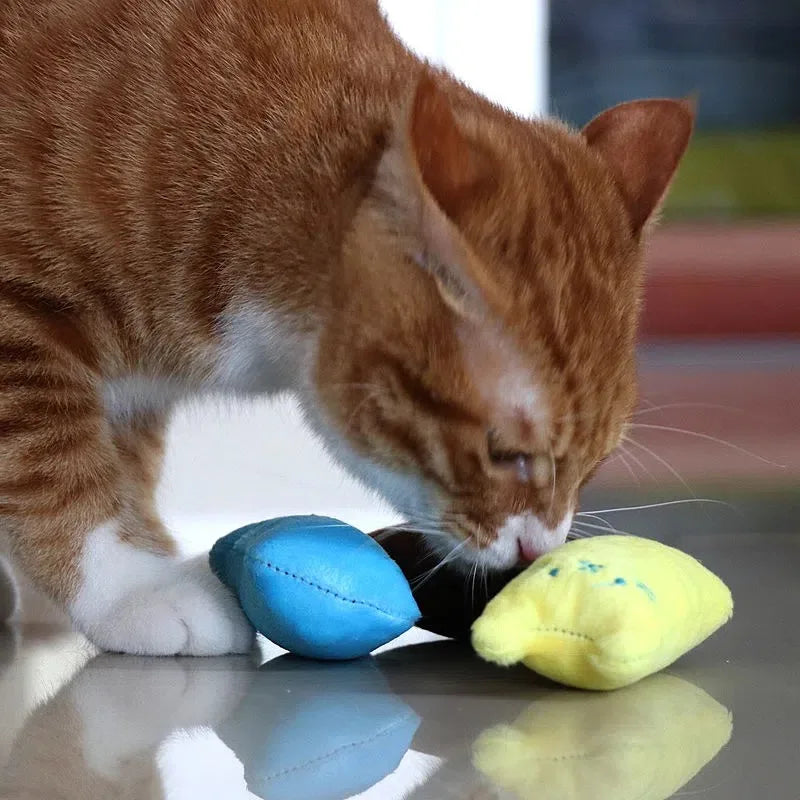 Cat Teaser Squeaky Plush Pillow Toy – Interactive Pet Toy