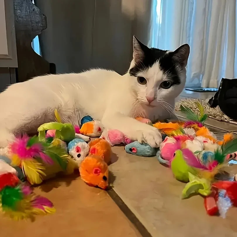 Cat Toys Mixed Pack – 14, 26 or 56 Piece Plastic & Plush Set