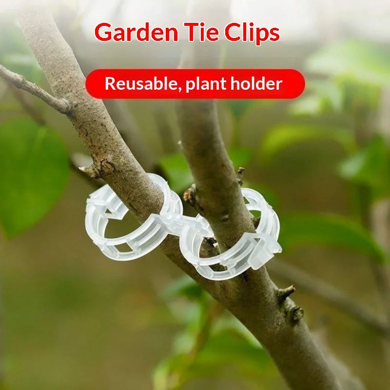 Reusable Plant Support Clips for Tomato & Climbing Vines