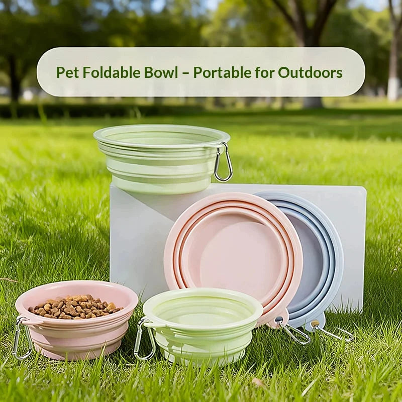 Portable Foldable Silicone Pet Bowl with Carabiner 150ml