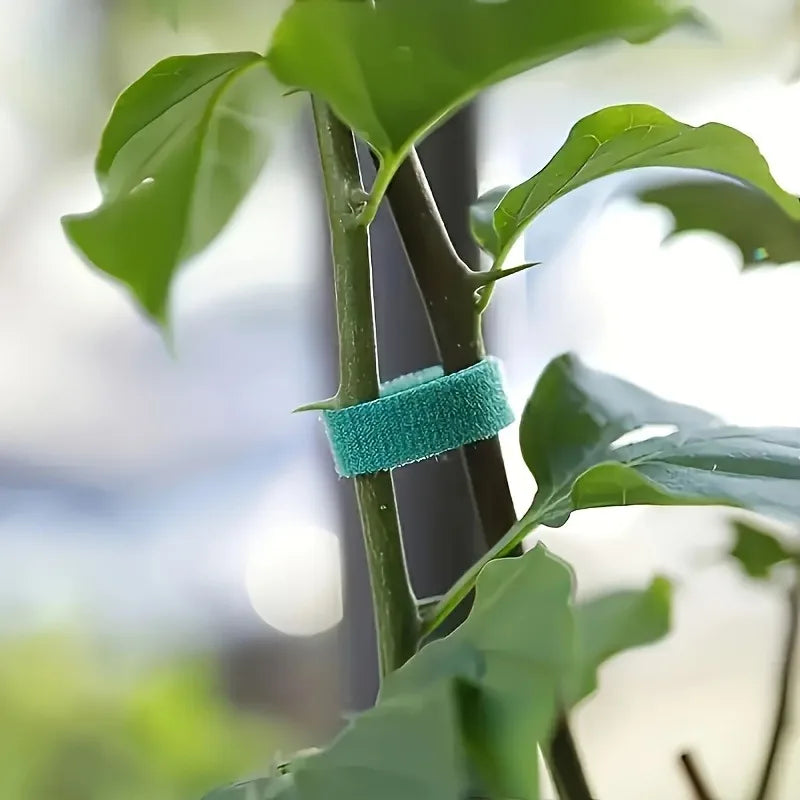 3-Pack Reusable Nylon Plant Cable Ties – Garden Support Twine