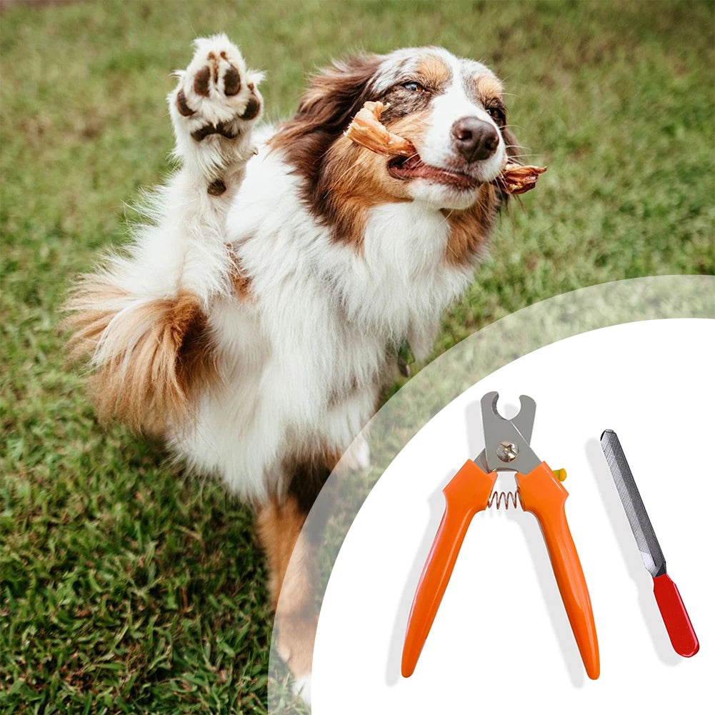 Dog & Cat Nail Clippers with Safety Guard – Stainless Steel