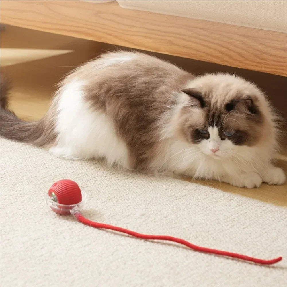 Automatic Rolling Ball Cat Toy – Rechargeable Interactive Pet Toy