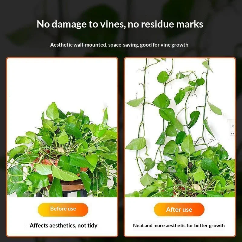 Self-Adhesive Plant Wall Clips – Punch-Free Vine Fixer Hooks