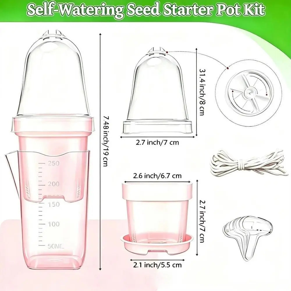 Self-Watering Transparent Nursery Planter – Double-Layer Pot