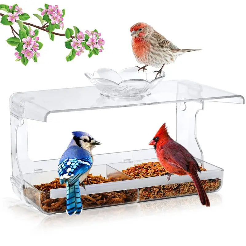 Clear Window Bird Feeder with Self-Adhesive Suction Hooks