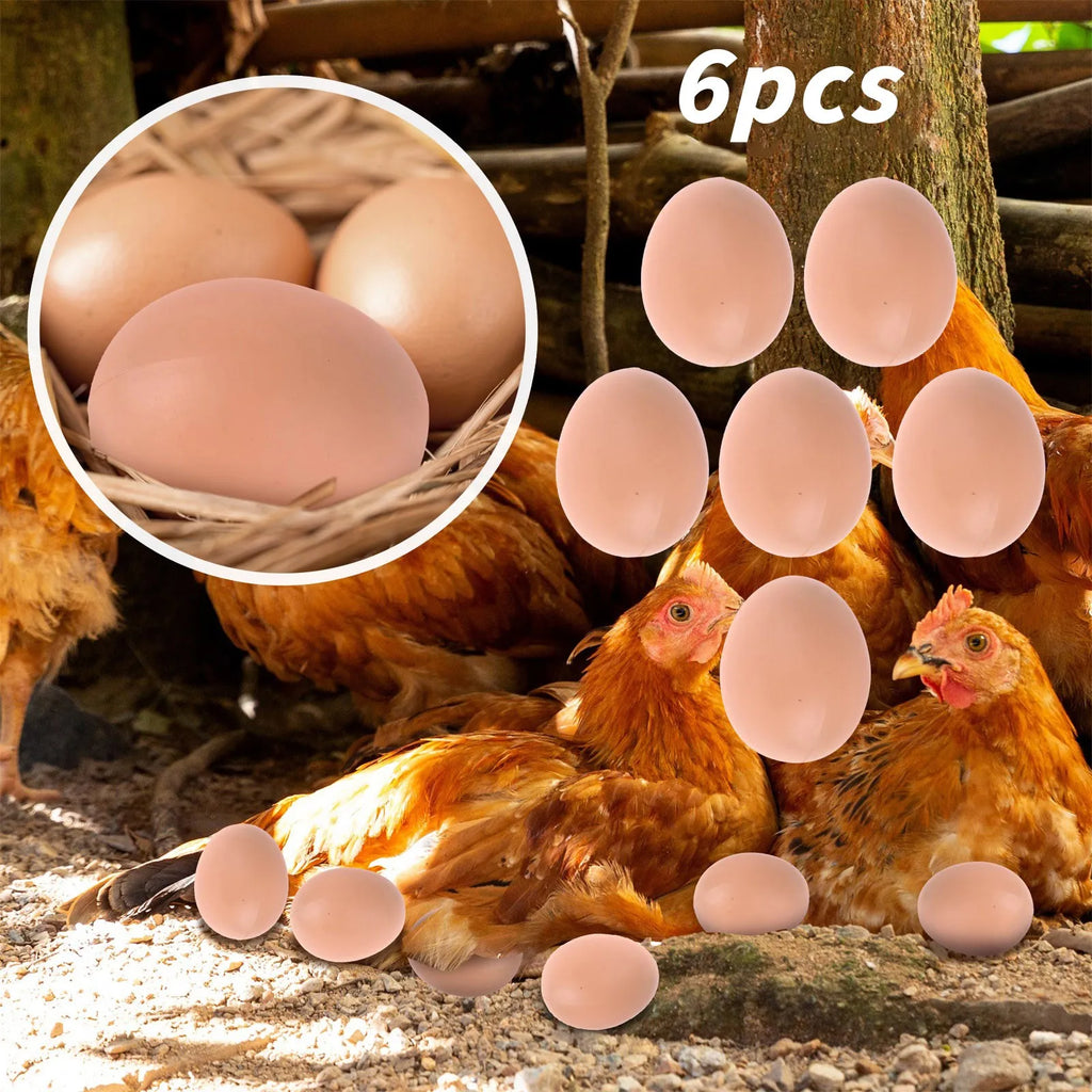 6-Pack Realistic Fake Eggs – Chicken Nesting Training Aid