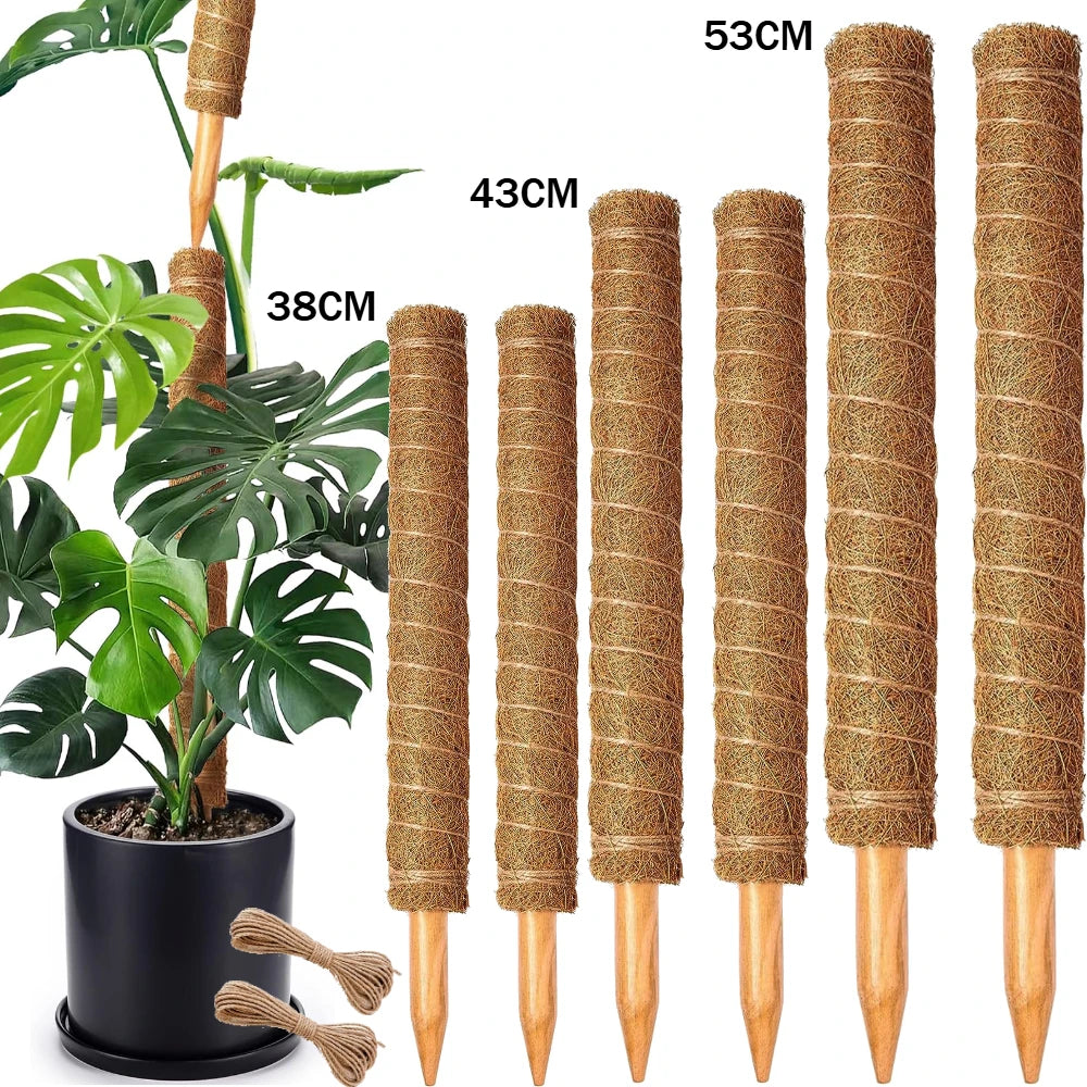 Stackable Coir Moss Poles for Monstera & Climbing Plants