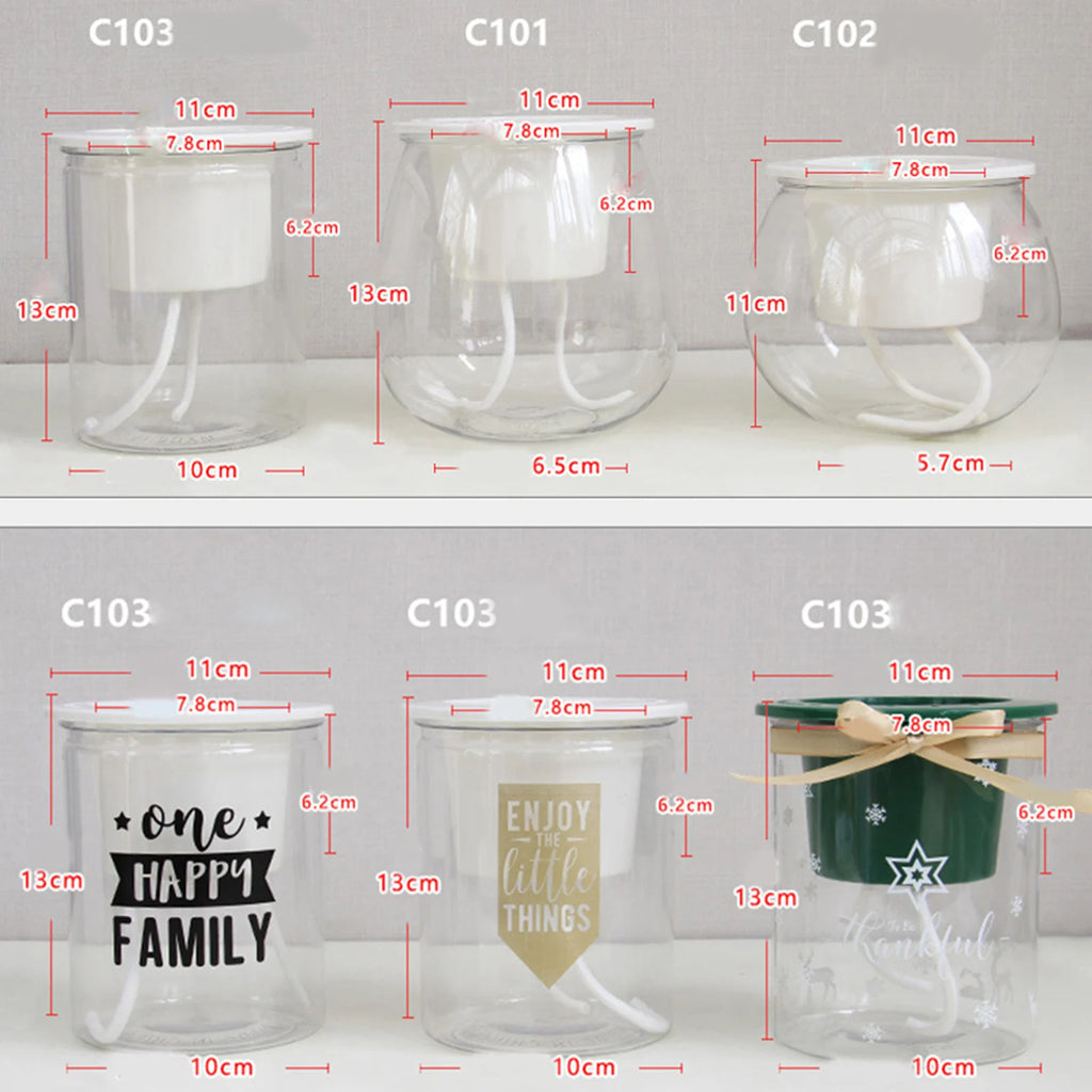 Mini Transparent Self-Watering Succulent Planter Pot