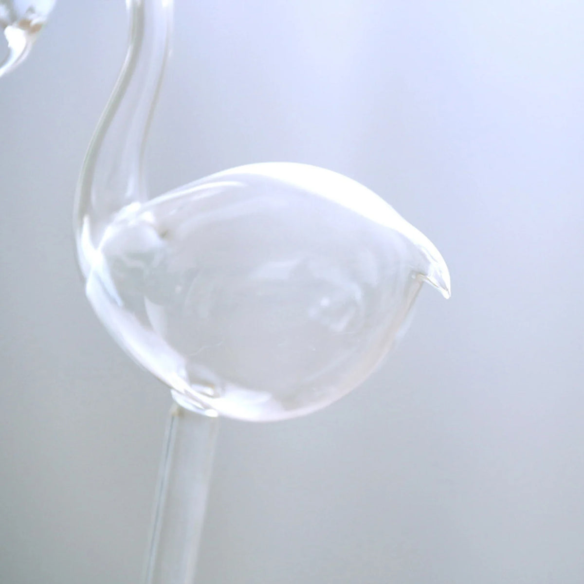 Swan Glass Self-Watering Device for Indoor Houseplants